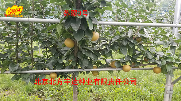 �������������ҵ���޹�˾